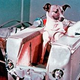 Illustration for article titled Soviet Dog Cooked in Space Only Got this Lousy Statue